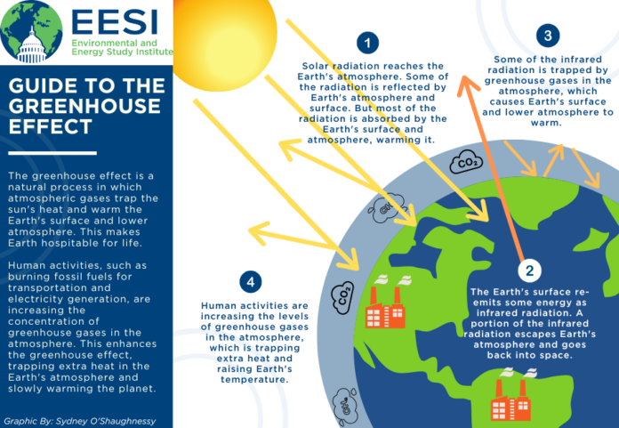 Green House Effect, Global Warming, Cfc Gas, Causes of Global Warming, Results for Global Warming, How Can We Reduce